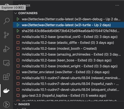 Vscode Debug Python in Docker Container 的图像结果