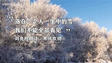 作者朗读《寒风吹彻》：落在一个人一生中的雪，我们不能全部看见 - 哔哩哔哩