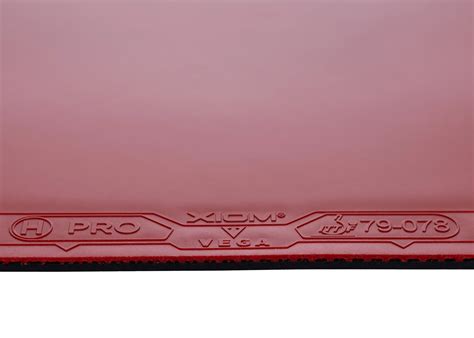 Xiom Vega Pro H Hybrid