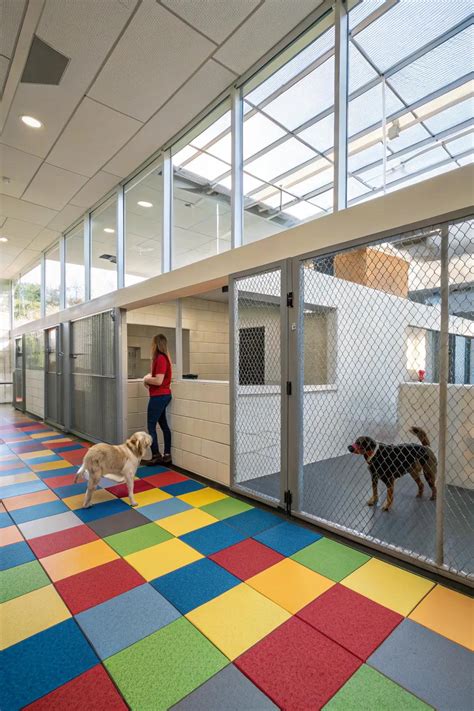14+ Creative Dog Kennel Flooring Ideas
