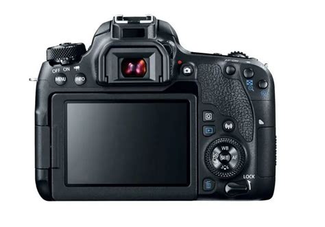 Camera Back View 的图像结果