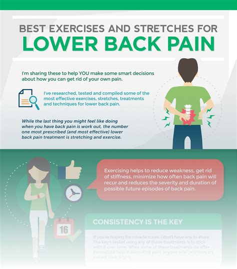 Image result for Lower Back Pain Exercise