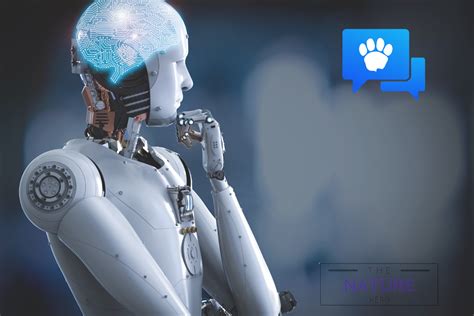 Image result for Open Assistant Grammarly