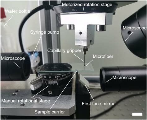 Image result for Scale Bar Science