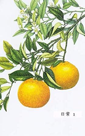 nichijyou ichi (Japanese Edition) eBook : kirinsun: Amazon.in: Kindle Store