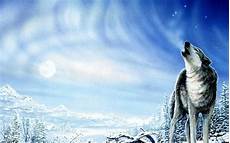 Wolf Wallpaper Blue by Cool Wolf Backgrounds Wallpaper Cave Wolf Wallpaper Blue