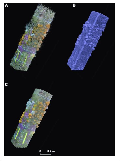 Image result for Development 3D Model
