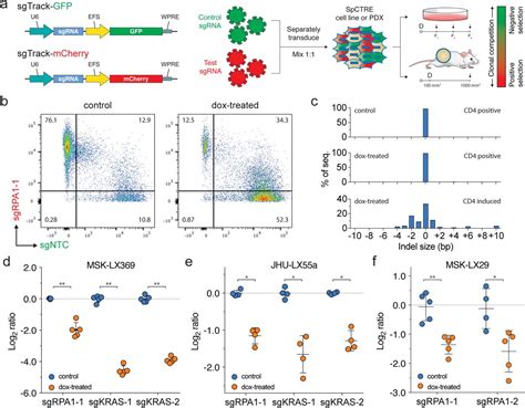FlowJo Mean Fluorescence Intensity Table 的图像结果