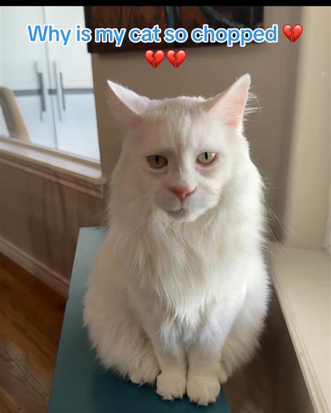 Instagram photo by Memes by Grayson and Shneeb (NO ADS) • Apr 9, 2025 ...