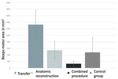 Mapping Motor Neuroplasticity after Successful Surgical Brachial Plexus ...