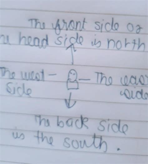 directions and how to identify them- an illustrative diagram - Brainly.in