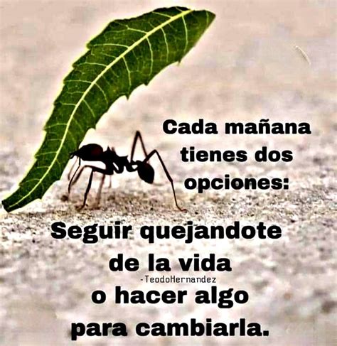 Inspirational Quotes in Spanish