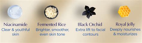 Bio-Essence Bio-Vlift Face Lifting Cream, Firming, Tightening, Double ...