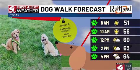 Jasper And Lambeau was featured Friday, September 5 during KTIV’s Dog ...