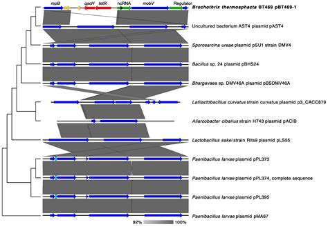 Genomic Characterization of a Tetracycline-Resistant Strain of ...