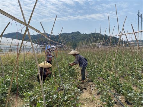 怀化市红色教育基地有哪些？这四处纪念馆值得去打卡，不要错过__财经头条