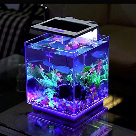 10 Best Minimalist Ornamental Fish Aquarium Design Ideas You Have To ...