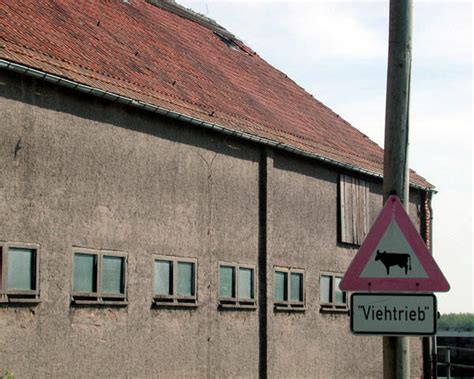 Verstöße gegen den Tierschutz: Zwei Betriebe geräumt | agrarheute.com