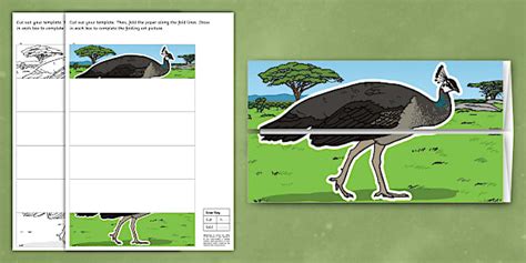 Indian Peafowl Folding Art Template (teacher made) - Twinkl