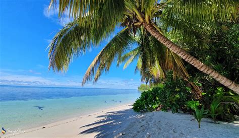 VPM Cocktail Amirantes - Yacht - Lage - Seychellen (Seychellen) - Foto 37