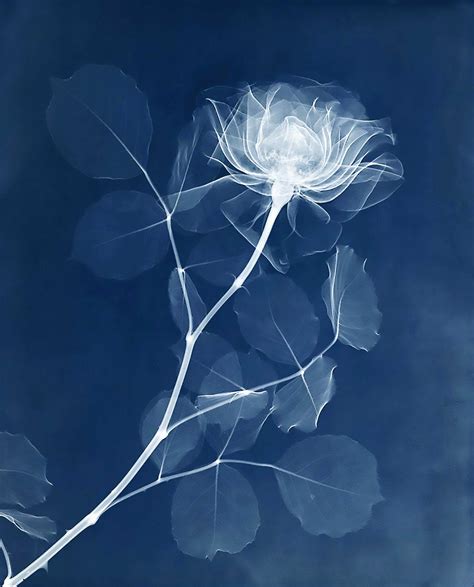 intelligenceleo - Blog