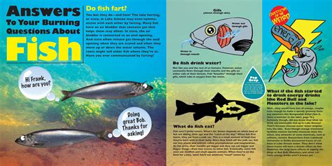 Do Fish Fart? | Raincity Librarian
