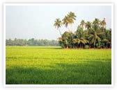 Asian Christian College of Music | Location