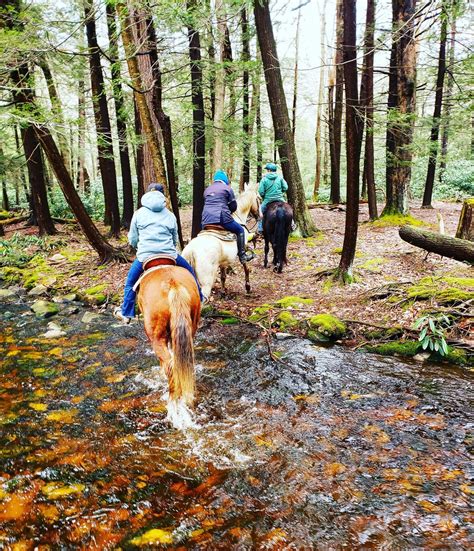 Gettysburg Battlefield Ride with a Licensed Guide!, Artillery Ridge ...
