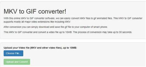 Top 12 MKV to GIF Converters