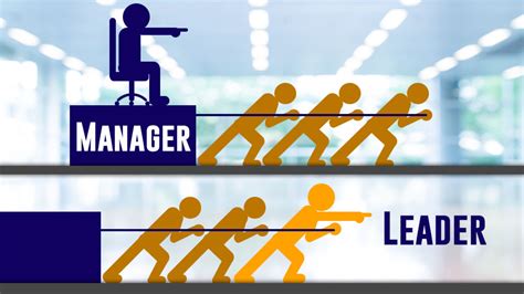 Levels of Management: 3 Functional Area & Types of Managers