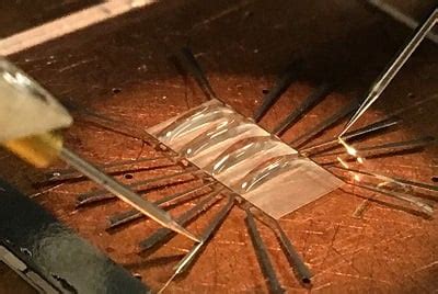 Image result for Bacteria Sensor Arduino