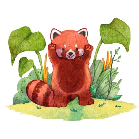 Cute Drawings Of Red Pandas