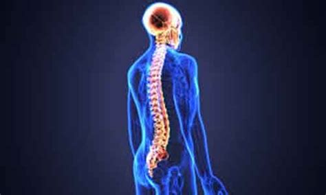 ACS releases revised mobility guidelines for spinal injury patients