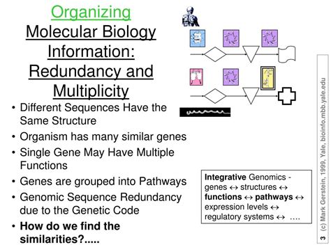 Image result for Introduction to Bioinformatics