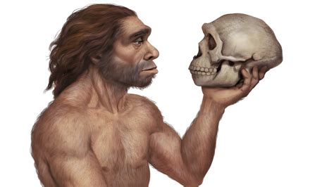 Researchers Name A New Species Of Human Ancestors