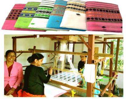 Livelihood Activities | Official Website of North East Centre for ...