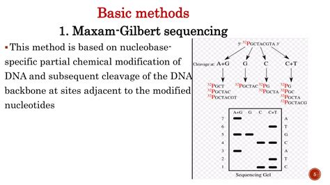 DNA Sequencing Methods 的图像结果