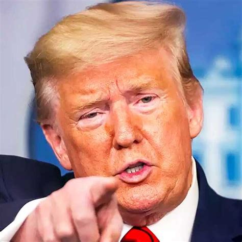 Donald Trump vs Joe Biden - Comparison & Difference | Times of India