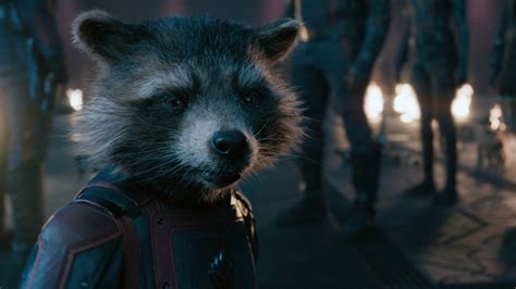 How Rocket Raccoon (and Bradley Cooper) Became the MCU’s Secret Weapon ...