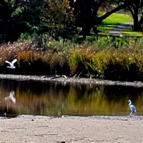 LYNCH COVE PARK (2026) All You Need to Know BEFORE You Go (with Photos ...