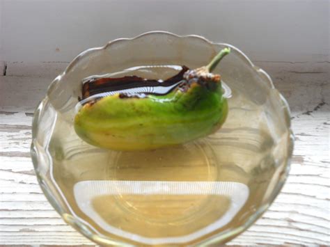 Image result for Mango Sprouting