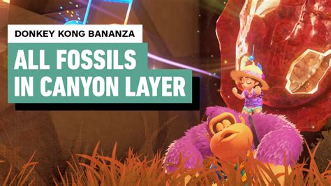 Donkey Kong Bananza - Every Canyon Layer Fossil Location | Rare and ...