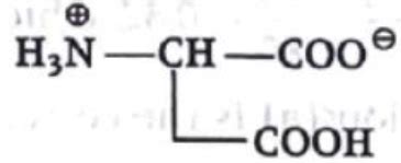 Choose the correct zwitter ionic form for aspartic acid