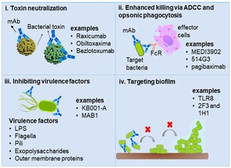 Recent Advances in Monoclonal Antibody-Based Approaches in the ...
