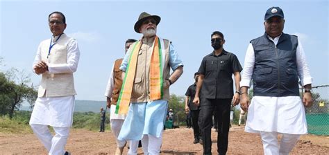 PM releases wild Cheetahs - which had become extinct from India - in ...
