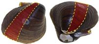The Quantification of Morphological Variation and Development of ...