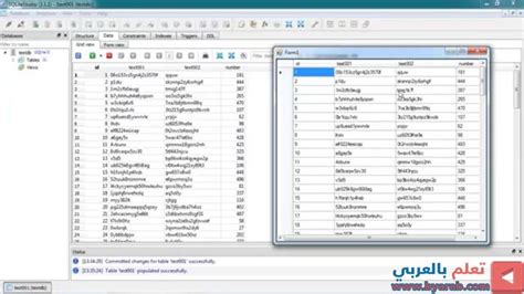 SQLite Visual Basic 的图像结果