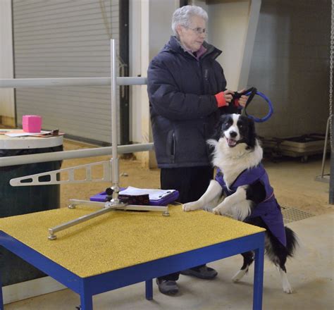 Home Page - Welcome to the DREAM Park Equestrian Center; Gloucester ...