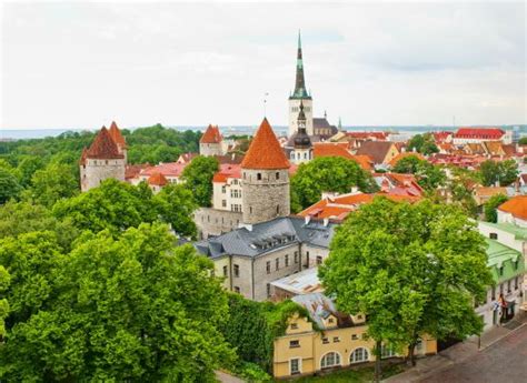 Best Tour Guide. - Reviews, Photos - Nordic Experience - Tripadvisor