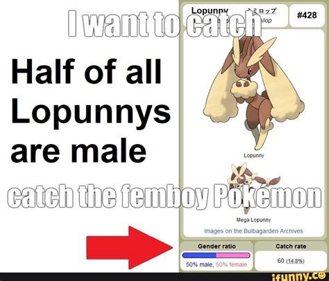 Half of all Lopunnys are male eate the tamy Mega Lopunny Images on the ...